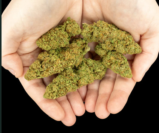 Bulk CBD Flower